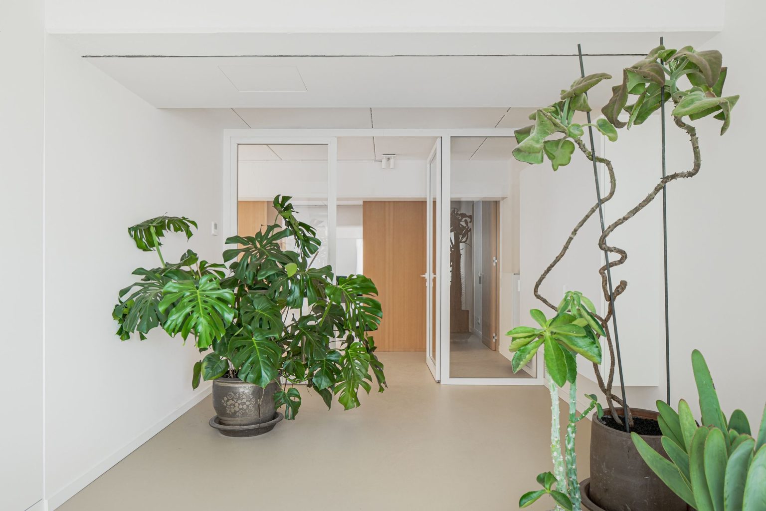 HodbHouse 007
