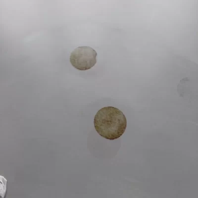 meesterwerken verkleuring 2 (1)